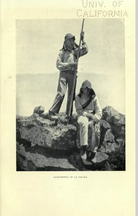 Pastores en La Palma.